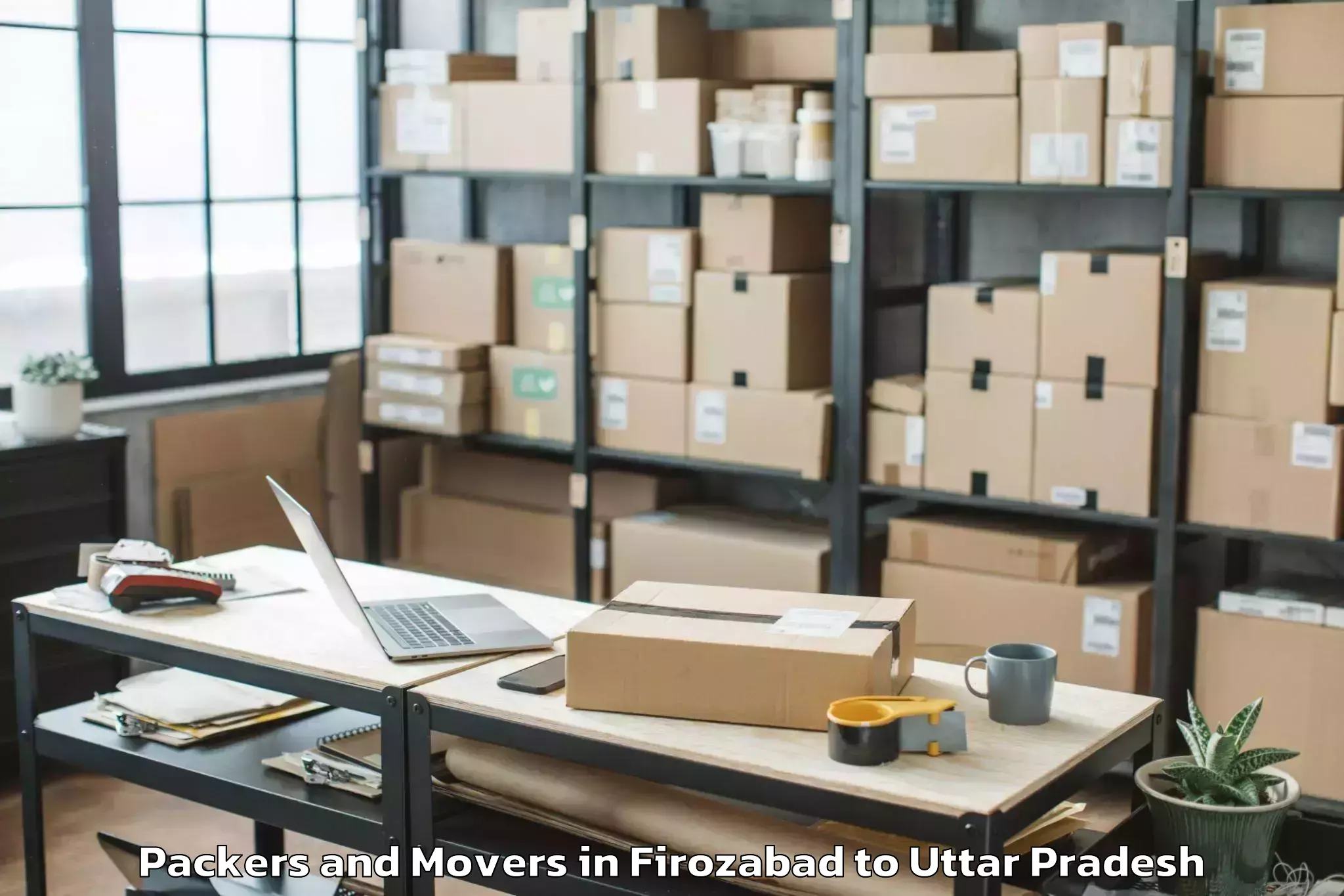 Professional Firozabad to Patiali Packers And Movers